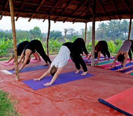 7 Tage Spirituelles Wellness- und Yoga-Retreat in Mysore, Indien - Photo 2