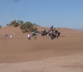 8 jours en stage de yoga, méditation et trekking en itinérance dans le désert, Maroc - Photo 3