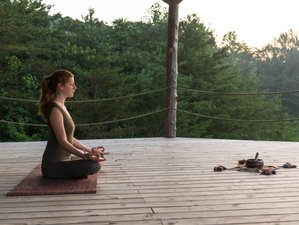 3 Day Unplug Retreat in the Great Smoky Mountains, Tennessee, USA