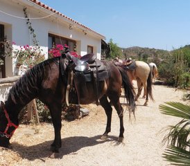 8 Tage Fortgeschrittener Reiturlaub an der Algarve, Portugal - Photo 3