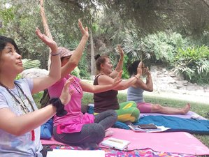 6 Day Purification and Reiki Retreat in the Andes: A Journey of Transformation in Pisac, Peru