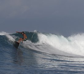 38 días de surf en el paraíso en el campamento de surf Single Fin en Tenerife Sur, España - Photo 1