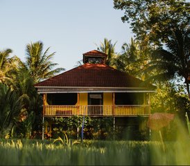 5-Daagse Vibrantie Privé Yoga Therapie, Meditatie en Wellness Retreat in Ubud, Bali, Indonesië - Photo 3