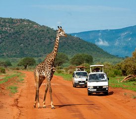 3 Tage Wildnis Safari im Tsavo East Nationalpark in Kenia von Mobasa - Photo 2