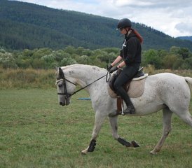 86 jours en stage d'équitation d'été à Hrabušice, Slovaquie - Photo 1