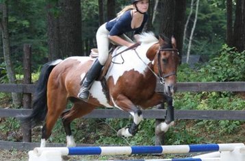 27-Daagse Paardrijkamp Zomer voor Meisjes in Newbury, Vermont, Verenigde Staten
