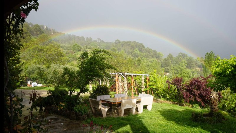 3 días en retiro de yoga aéreo en Cotillas, España
