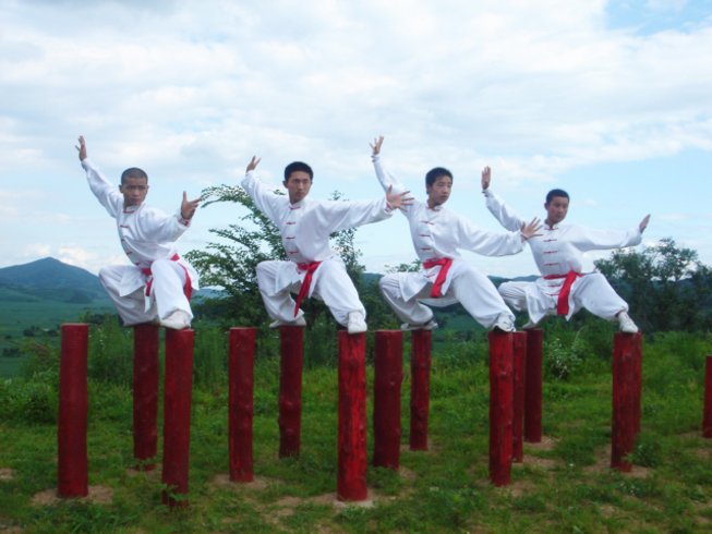 Chinese ancient weapon/"three-section cudgel/" Wing chun, Kung fu sticks