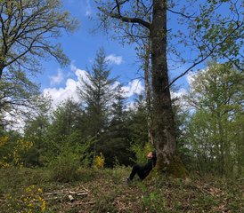4-Daagse Natuur Retreat met Yoga, Meditatie en Natuurverbinding in Renkum, Nederland - Photo 5