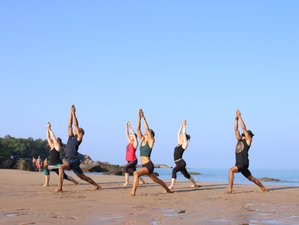 21-Daagse Bos en Strand Ashtanga Hatha met Yoga Filosofie Retreat in Agonda, Goa