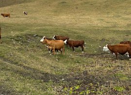 La Thuile, Savoie Retraites en Reizen