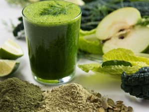 15 Day Total Body Detox, Meditation, and Yoga in Boca Raton, USA