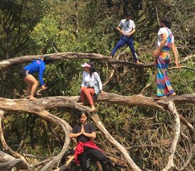7 Day Healing Wellness Retreat with Yoga, Meditation, Hiking, and Nature in the Heart of Nepal - Photo 2