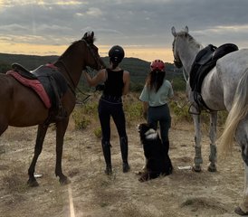 16 jours de vacances équestres à travers la forêt de Belgrad à Istanbul, Turquie - Photo 1