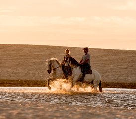 8 Tage Trail-Reitabenteuer im Distrikt Setúbal, Portugal - Photo 5
