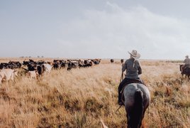 Collecte de bétail Retraites et Voyages