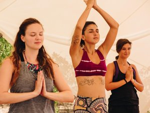 10 Day Sacred Ayahuasca and Yoga Retreat in Arraial d'Ajuda