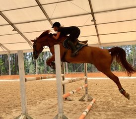 17 jours stage standard en saut d’obstacles et dressage à Apúlia e Fão, Esposende, Portugal - Photo 1