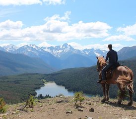 5 Tage Wildlife-Tracking und Artenschutz Reiturlaub in British Columbia, Kanada - Photo 5