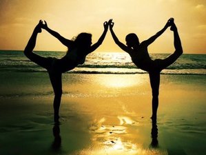 14 Day 150-Hour Yoga Teacher Training in Goa, India