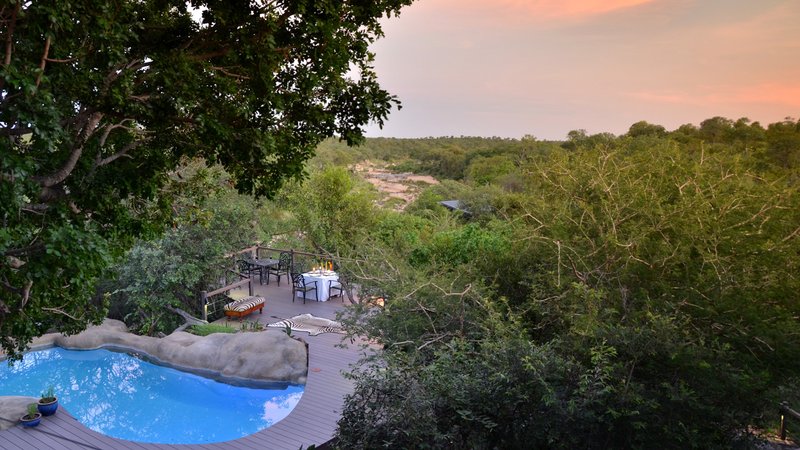 5 Days Luxury Lodge Safari in Balule Private Game Reserve, South Africa