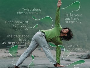 24 Day 200-Hour Multistyle Yoga TTC with Ayurveda, Sound Healing & Emotion Detox in Rishikesh, India
