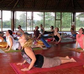 7Curso de formación de profesores de Hatha yoga de 500 horas durante 50 días en Rishikesh, India - Photo 1