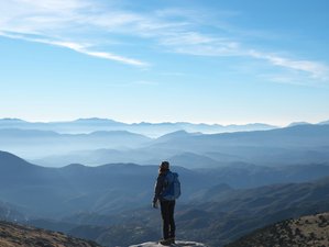 1 Private Online Soul Coaching Session for Healing and Direction Over 1 Hour