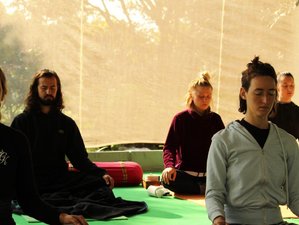 7 jours en retraite de yoga, méditation et bien-être à Rishikesh, Inde