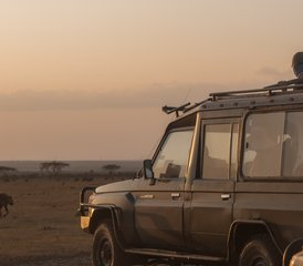 7 días de retiro de safari y yoga de conservación en Ol Pejeta Conservancy, Nanyuki, Kenia - Photo 2
