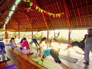7 Day Rejuvenation and Yoga Retreat in Bali, Indonesia