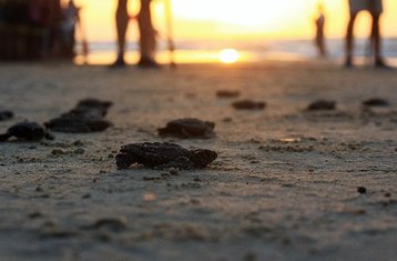 15 Tage Oaxaca Mexiko Sehenswürdigkeiten: Antike Ruinen, Charmante Städte und weitere Kulturelle Reise