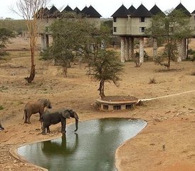 3-Daagse Begeleide Safari in Taita Hills Wildlife Sanctuary en Ngutuni Game Sanctuary in Kenia - Photo 5