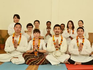 29 Tage 300-Stunden Yogalehrer Ausbildung in Tapovan, Rishikesh
