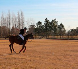 2 Days of Polo Lesson and HorseRiding Holiday in Capilla del Señor, Buenos Aires Province - Photo 4