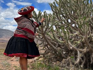 8 Day Introduction to Oracle Spiritual Tour in Peru with Andean Wisdom and the Pachamama
