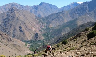 Ourika Valley Retreats & Trips