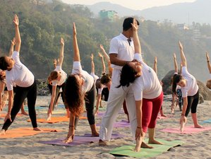 Raja Yoga at best price in Varkala