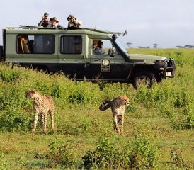 3-Daagse Groepssafari met Kamperen in Maasai Mara, Kenia met Dagelijkse Vertrekken - Photo 5