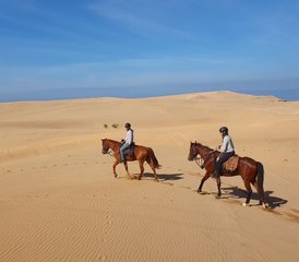 8-Daagse sportieve rit van woestijn naar oase: paardrijtocht in Marokko - Photo 3