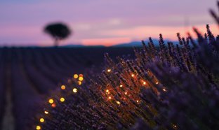Provence Retraites en Reizen