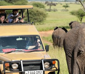 5-Daagse Budgetvriendelijke Tanzania Safari in Serengeti Tarangire en Ngorongoro Krater - Photo 2