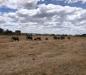 4 Tage Gruppen-Camping-Safari im Lake-Manyara-Nationalpark, Tarangire-Nationalpark und Ngorongoro-Krater in Tansani - Photo 5