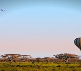 2 Tage Private Gnu-Wanderung Kenia Safari Tour mir Ballonfahrt - Photo 5