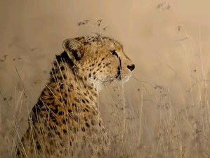 10 Day Safari With Chance to See Tanzania's Wildebeest Migration: Ndutu, Serengeti, and Ngorongoro