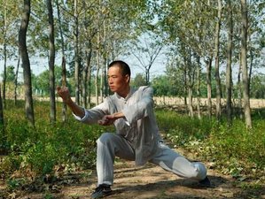 6 Months Shaolin Kung Fu, Tai Chi & Yijinjing Training at Malingshan Mountain Jiangsu, China
