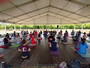 4 Day Bliss Beat Festival with Yoga, Martial Arts, Music, and Fun in Sezzadio, Piedmont
