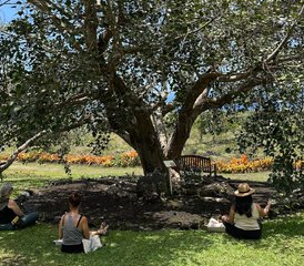 6 Tage Embodied: Rewilding Retreat für Frauen in Kealakekua Bay, Hawaii, USA - Photo 4