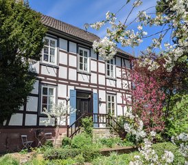 4 Tage Sommersonnenwende Retreat: Pure Lebensfreude & innere Klarheit im Nationalpark Edersee - Photo 4