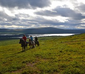2 Tage Sommer Reiturlaub in den Bergen von Kebnekaise, Schweden - Photo 2